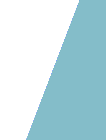 shape